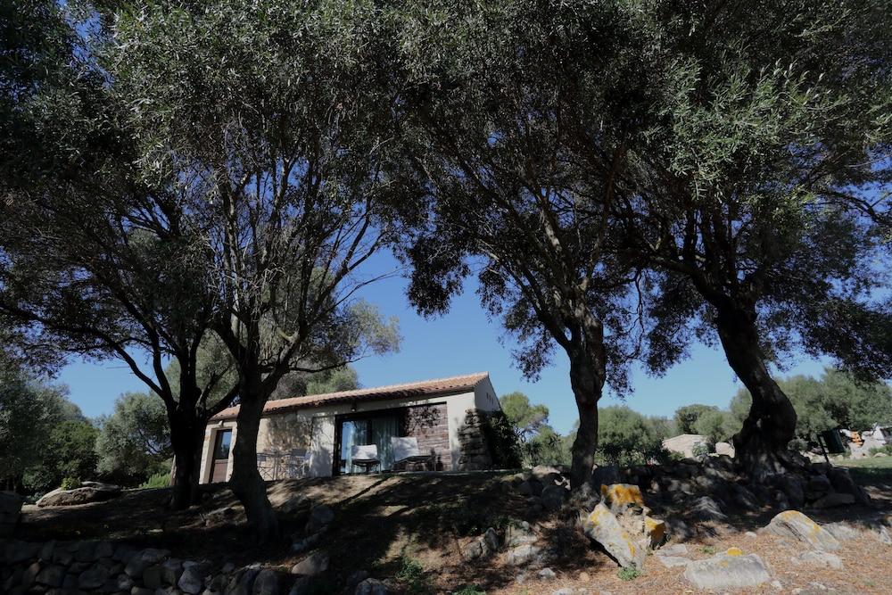 Liscia Country Relais Guest House Sant'Antonio di Gallura Luaran gambar