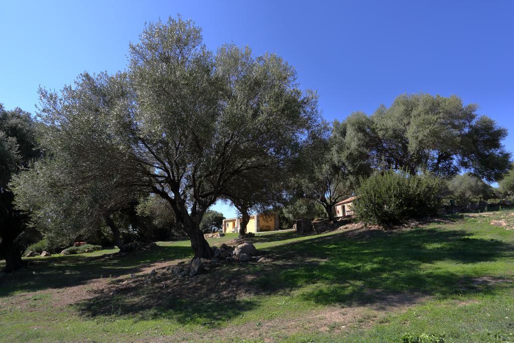 Liscia Country Relais Guest House Sant'Antonio di Gallura Luaran gambar