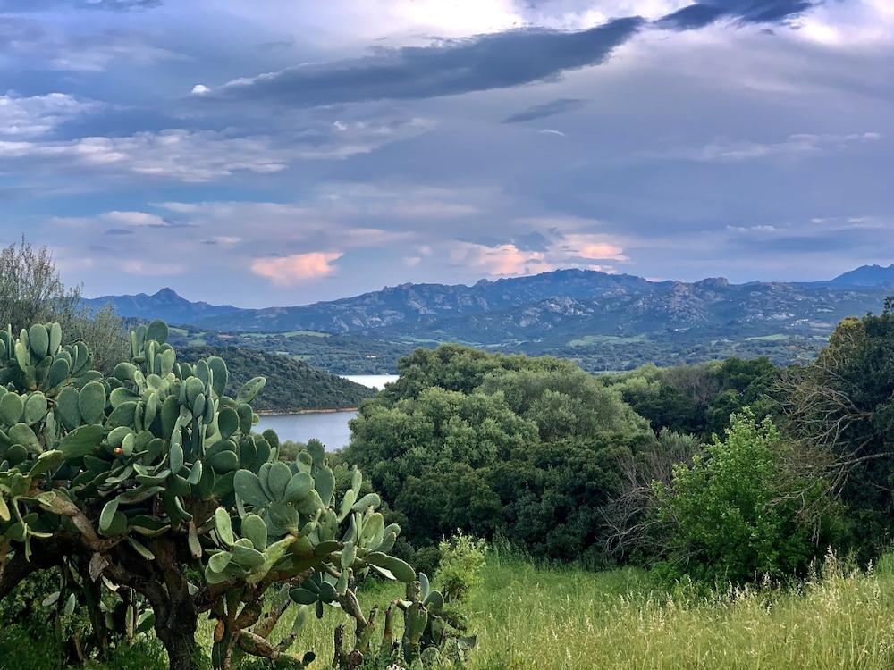 Liscia Country Relais Guest House Sant'Antonio di Gallura Luaran gambar
