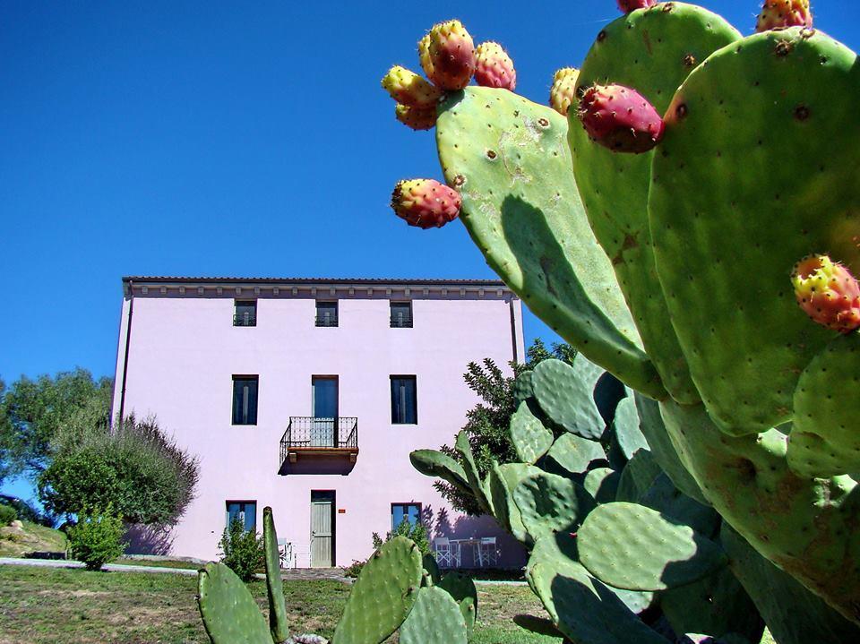 Liscia Country Relais Guest House Sant'Antonio di Gallura Luaran gambar