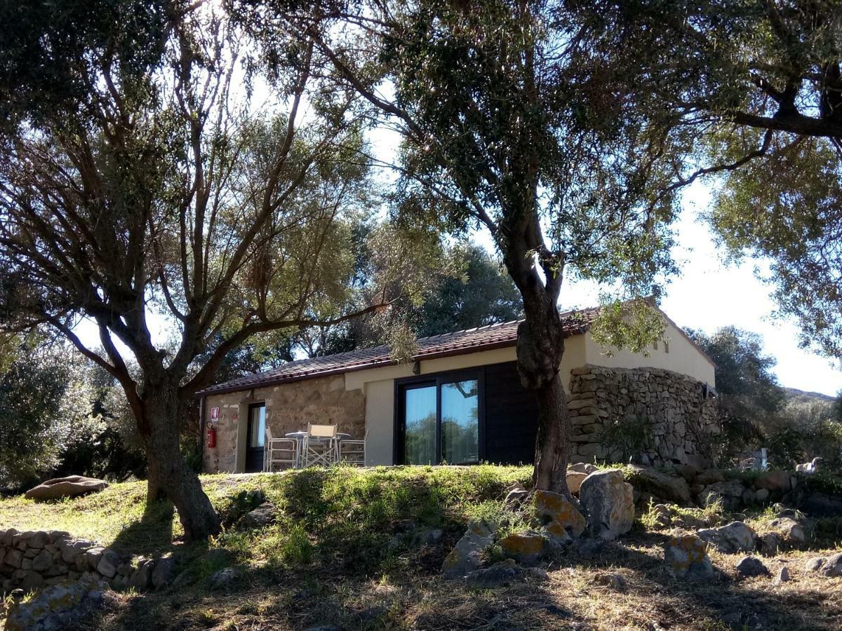 Liscia Country Relais Guest House Sant'Antonio di Gallura Luaran gambar
